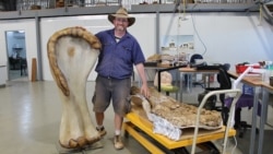 Dr. Hocknull poses with a bone of "Cooper" (Eromanga Natural History Museum/Handout via Reuters)