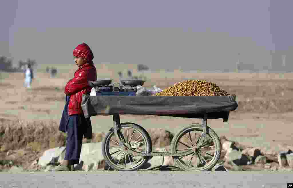 پسر جلغوزه فروش افغان در انتظار مشتری در یک گوشۀ از شهر کابل.