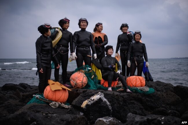 A group of haenyeo pose for photographers as they perform a demonstration during a media event organized by the Foreign Press Center, on South Korea's southern island of Jeju, Nov. 6, 2015. The term haenyeo, or sea women, refers to women who use free-diving techniques to retrieve shell fish from the sea floor.