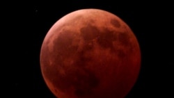 Quiz - New Measurements on the Moon Show Harmful Radiation Levels