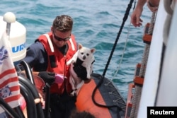 A crew member aboard the Coast Guard cutter Valiant brings a dog aboard after evacuating more than 95 people and pets from St. Thomas as part of Hurricane Irma response and relief efforts in St. Thomas, U.S. Virgin Islands, Sept. 12, 2017.