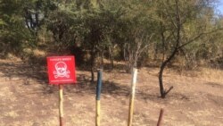 Report On Villagers' Demining Activities Filed By Patricia Mudadigwa