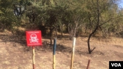 Demining in process in Mukumbura communal lands.