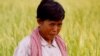 Taing Kim came forward with her story in 2003, when she became one of the first women to speak publicly about her experience, which was also covered in a 2005 television documentary filmed by DC-Cam in the rice field. (Courtesy photo of DC-Cam) 