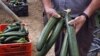 Россия конфискует овощной импорт из ЕС
