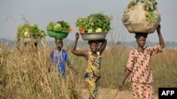 FILE - Women come back from the fields to sell vegetables at a market near the internally displacement camp close to the airport in Bangui.
