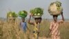Des femmes revenant des champs pour vendre des légumes près d'un camp de déplacés à proximité de l'aéroport de Bangui.
