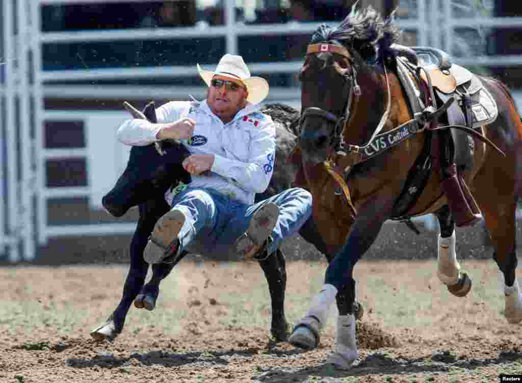 Curtis Cassidy of Donalda, Alberta, wrestles a steer in the steer wrestling event during the rodeo as the Calgary Stampede gets underway following a year off due to COVID-19 restrictions, in Calgary, Alberta, Canada, July 10, 2021.
