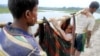 فرار حدود ۹۰ هزار مسلمان روهینگیا از خشونت‌ها در میانمار