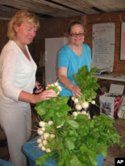 Groundworks Farm CSA members Jill Maynard Nolan (in white) and Meredith McCartney Smith pick up vegetables.