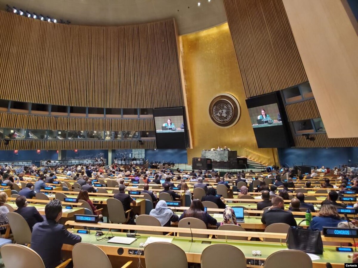 18 nuevos miembros fueron elegidos para conformar Consejo Económico de la ONU