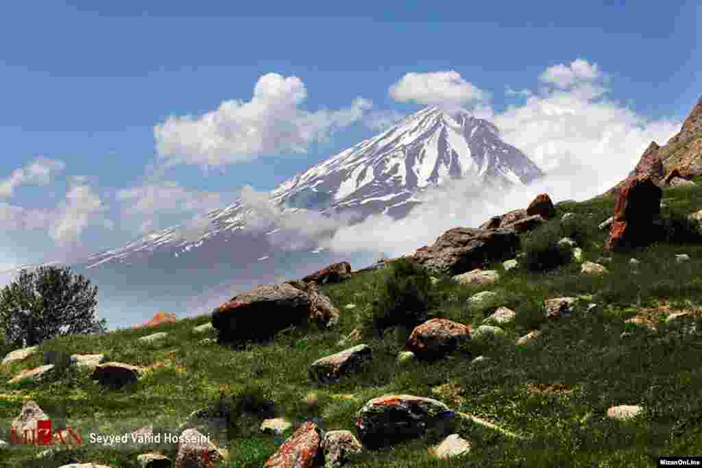 دامنه های البرز عکس: سید وحید حسینی