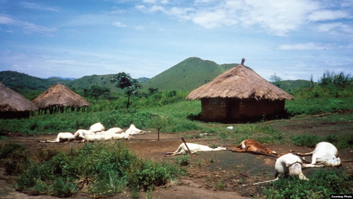 Cameroon Lake Nyos Disaster Survivors Feel Abandoned