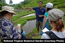 Kawika Winter gives a tour of the garden to a group of environmental journalists.