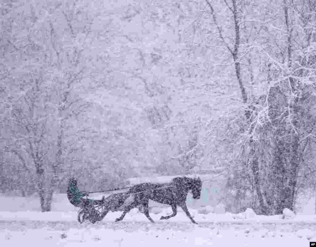 A horse and driver take a lap on a snowy morning during training on the harness track at Saratoga Casino and Raceway in Saratoga Springs, New York.