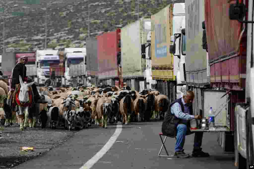 Sheep are led by a shepherd at the Cilvegozu border gate with Syria, near the town of Hatay, southeastern Turkey. 