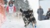 Iditarod Mushers Begin Sled-dog Race Through Alaska Wilderness