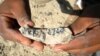Ethiopian Jawbone Fossil Pushes Back Human Origins