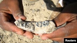 A jawbone fossil, steps from where it was sighted by Chalachew Seyoum, an ASU graduate student from Ethiopia, is pictured in Afar Regional State, Ethiopia in this undated handout photo courtesy of Arizona State University/Kaye Reed.