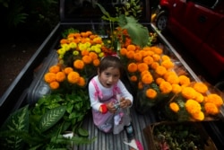 Seorang gadis duduk di bak truk pikap penuh bunga marigold di pasar bunga Xochimilco, di pinggiran Mexico City, Rabu, 14 Oktober 2020. (Foto: AP/Marco Ugarte)