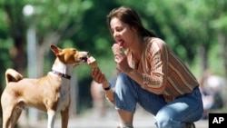 35-year-old Ines and her 5-year-old dog Monti enjoy an ice cream each during a break while walking in Dresden, eastern Germany, Friday June 9, 2000. (AP Photo/Matthias Rietschel)