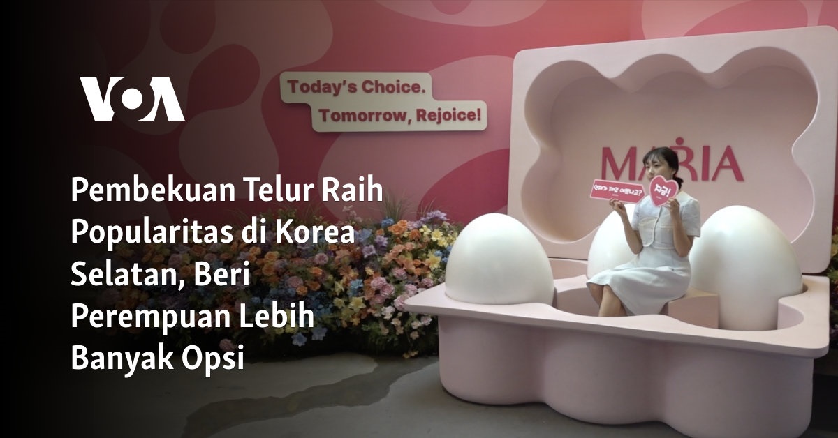 Pembekuan Telur Raih Popularitas di Korea Selatan, Beri Perempuan Lebih Banyak Opsi