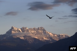 A gull flies with the "Dents du Midi" multi-summited mountain as background on July 3, 2016 in Montreux, Switzerland.