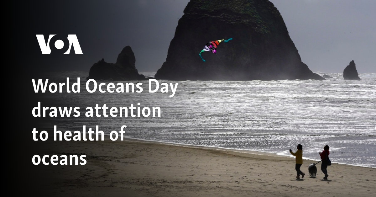 World Oceans Day draws attention to health of oceans