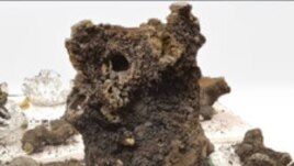 The main piece of fulgurite used in the study. (Credit: Benjamin Hess)