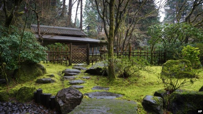 This photo provided by Portland Japanese Garden shows their Tea House as viewed from the Tea Garden after Rain. (Tyler Quinn/Portland Japanese Garden via AP)