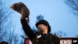 Al Dereume, del Groundhog Club levanta a Punxsutawney Phil, la marmota que pronostica el clima, durante la 134a celebración del Día de la Marmota en el Knobbler's Knob en Punxsutawney, Pensilvania, domingo 2 de febrero de 2020.