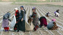 Odam savdosi va majburiy mehnat haqida yangi hisobot