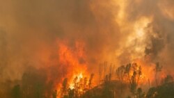 The LNU Lightning Complex Fire engulfs a ridge line near Aetna Springs, California, U.S. August 23, 2020. REUTERS/Adrees Latif/File Photo