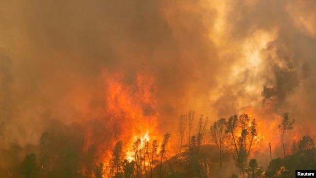 The LNU Lightning Complex Fire engulfs a ridge line near Aetna Springs, California, U.S. August 23, 2020. REUTERS/Adrees Latif/File Photo
