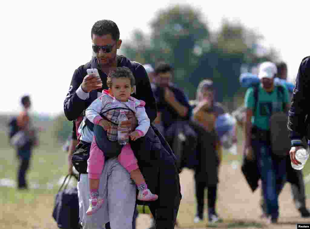 Seorang migran menggendong anaknya sambil menggunakan ponsel saat berjalan melalui lapangan dengan yang lainnya menuju tempat berkumpul di Roszke, Hungaria, yang berbatasan dengan Serbia (13/9). (Reuters/Laszlo Balogh)