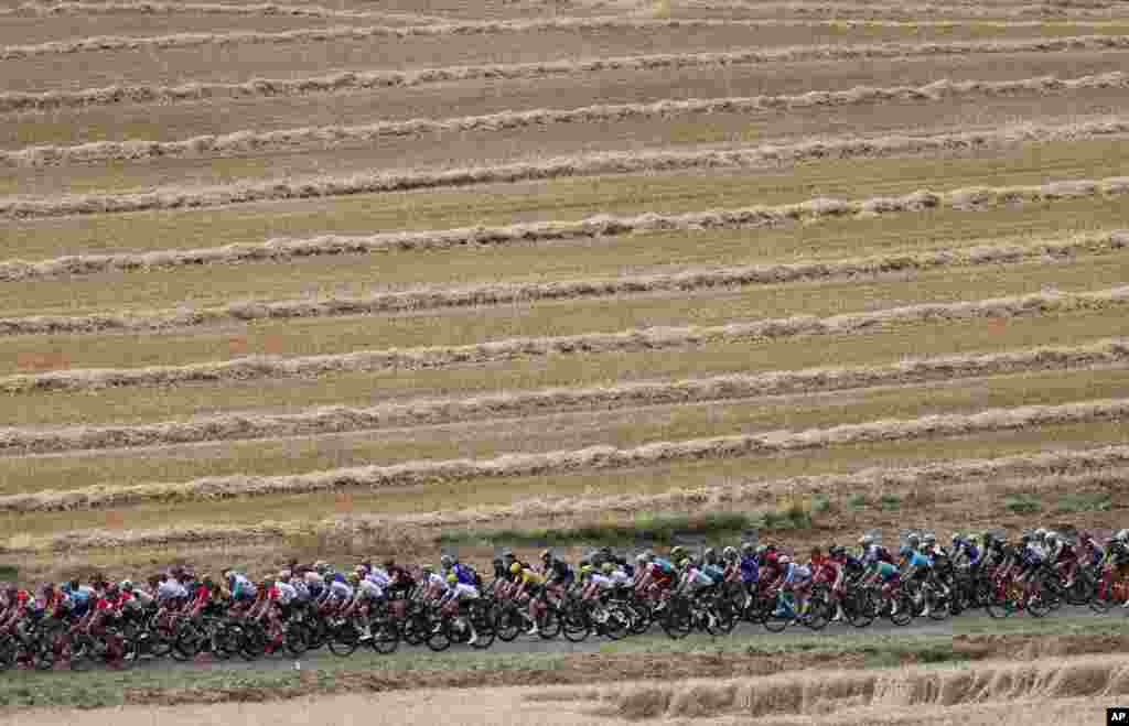 The pack with Britain&#39;s Chris Froome, wearing the overall leader&#39;s yellow jersey, rides through wheat fields during the seventh stage of the Tour de France cycling race over 213.5 kilometers (132.7 miles) with start in Troyes and finish in Nuits-Saint-Georges, France.