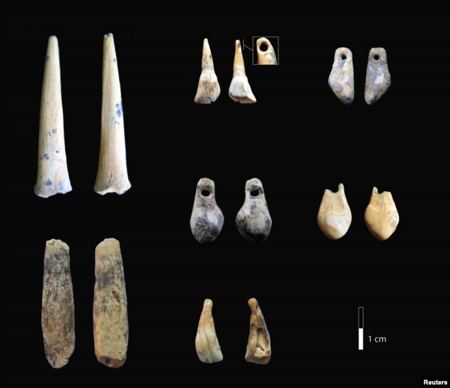 Bone points and pierced teeth, sampled for radiocarbon dating from the early Upper Paleolithic layers of Denisova Cave in Siberia, Russia, are shown in this photo provided Jan. 30, 2019.