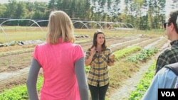 Emily Sloss, pengelola ladang di kampus Universitas Duke, mengajak pengunjung mengelilingi kebun sayuran organik.