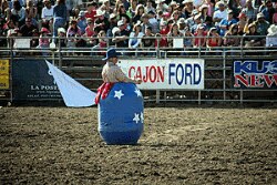 One rodeo clown takes a position inside a barrel in the ring, creating a safe distraction for a bull eyeing a helpless cowboy that he's thrown