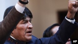 El presidente Evo Morales ya nacionalizó desde 2006 cerca de una veintena de empresas en diferentes sectores.