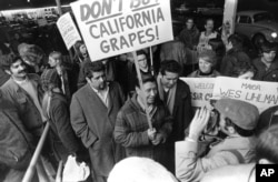 FILE - United Farm Workers President Cesar Chavez, carrying a sign calling for a boycott of California table grapes, leads about 400 people picketing a supermarket in Seattle, Dec. 19, 1969.