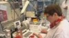 Поиски первоисточника E. coli в Германии продолжаются