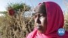 Climate Change Drives Gender-Based Violence in Somaliland-Oxfam 