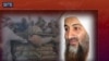Bin Laden Calls for Pakistan Relief in New Tape