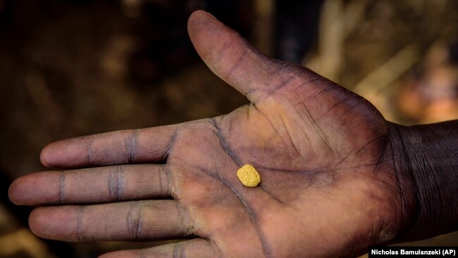 A man shows a piece of metal containing gold at a gold mining site in the village of Mawero, on the outside of Busia town, on Monday, Oct. 18, 2021. Children often make $2 a day from mining the gold, enough to buy a used pair of shoes. (AP Photo/Nicholas Bamulanzeki)