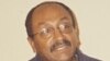 ፕሮፌሰር ብሩክ ኃይሉ - በግሪንስቦሮ የሰሜን ካሮላይና ኤ ኤንድ ቲ ዩኒቨርሲቲ የፖለቲካ ሳይንስና ዓለምአቀፍ ግንኙነቶች መምህር