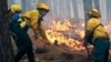 Запад США охвачен лесными пожарами