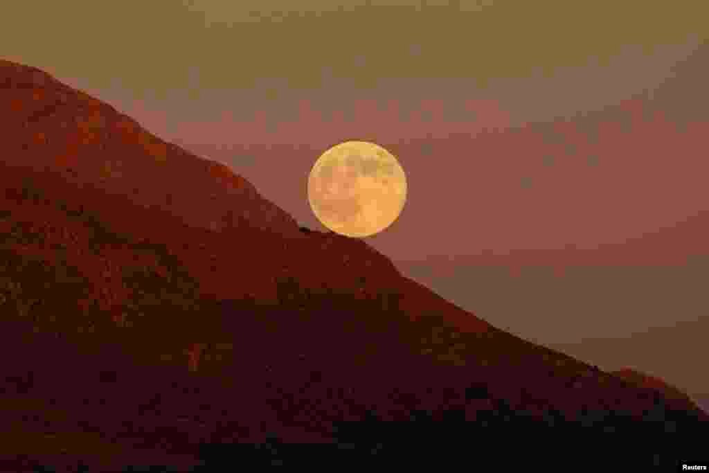 The supermoon rises as it is pictured from the Sierra de las Nieves (Mountain range of Snows) nature park and biosphere reserve between El Burgo and Ronda, near Malaga, southern Spain, Aug. 10, 2014.
