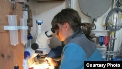 A student learns to use a microscope.