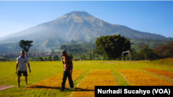 Petani menjemur tembakau mereka di Lapangan Kledung, Temanggung, Jawa Tengah. (Foto: VOA/Nurhadi Sucahyo)